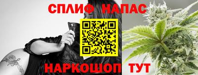 МДПВ Татарск