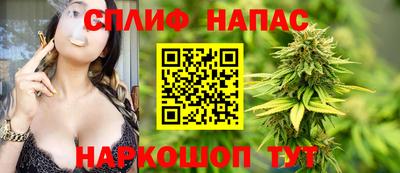 МДПВ Татарск