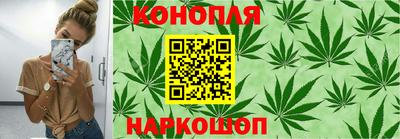 крисы Тверь